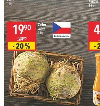 Globus Celer nabídka