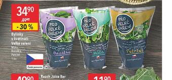 Globus Bylinky v květináči nabídka