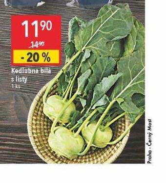 Globus Kedlubna bílá nabídka