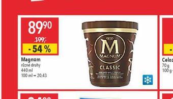 Globus Magnum nabídka