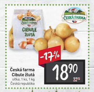 Billa Cibule žlutá nabídka