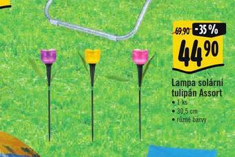 Albert Lampa solární nabídka