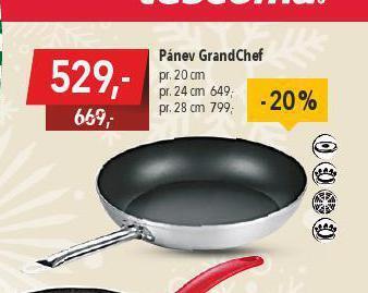 Globus Pánev 20 cm nabídka