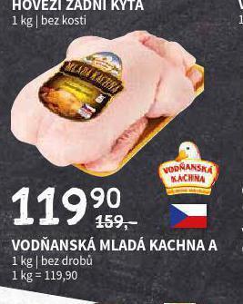 Terno Vodňanská mladá kachna nabídka