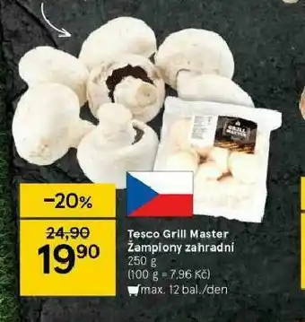 Tesco Žampiony zhardní nabídka