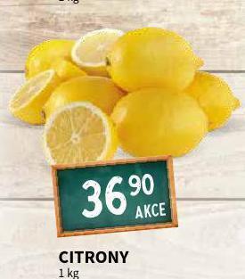 Terno Citrony nabídka