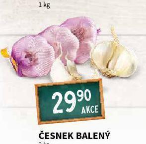Česnek balený