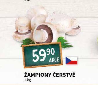 Terno Žampiony čerstvé nabídka