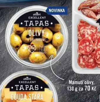 Jip Mamutí olivy nabídka