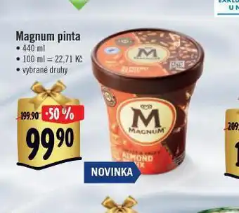 Jip Magnum pinta nabídka