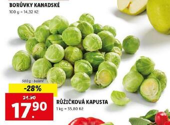 Lidl Růžičková kapusta nabídka