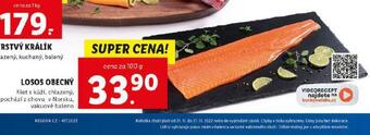 Lidl Losos obecný nabídka