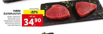 Lidl Tuňák žlutoploutvý nabídka