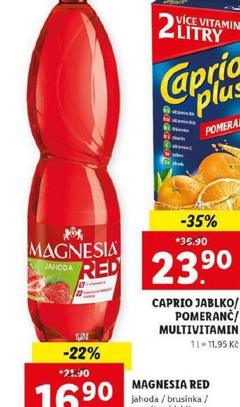 Lidl Magnesia red nabídka
