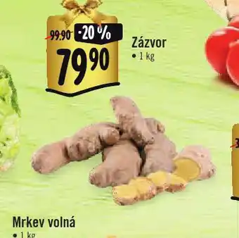 Jip Zázvor nabídka