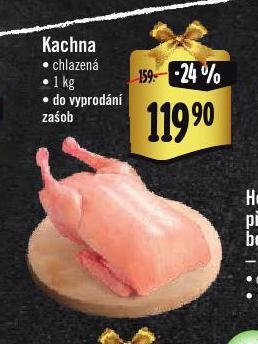 Albert Kachna nabídka