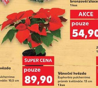 Kaufland Vánoční hvězda nabídka