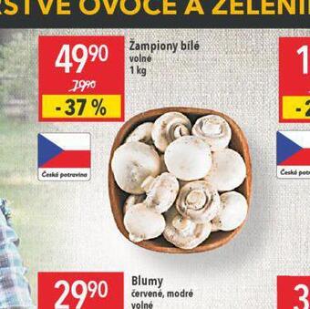 Globus Žampiony bílé nabídka