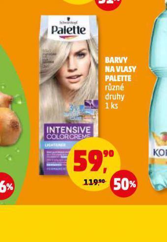 Penny Market Palette barva na vlasy nabídka