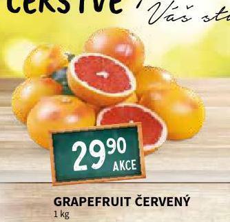 Terno Grapefruit nabídka