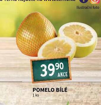 Terno Pomelo nabídka
