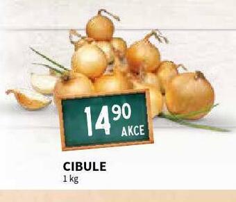 Terno Cibule nabídka