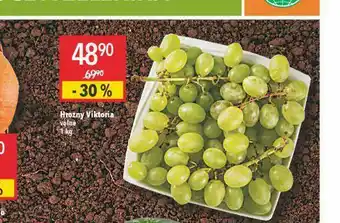 Globus Hrozny victoria nabídka