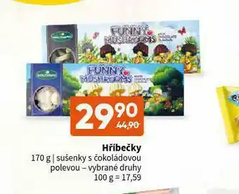 Terno Hříbečky sušenky s čokoládou nabídka