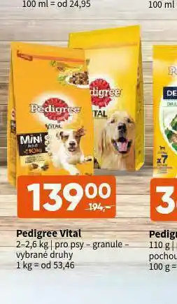 Terno Pedigree fital granule pro psy nabídka