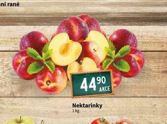 Terno Nektarinky nabídka