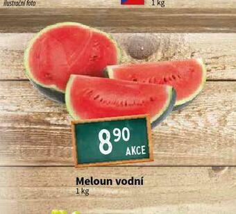 Terno Meloun vodní nabídka