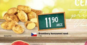 Terno Brambory konzumní rané nabídka