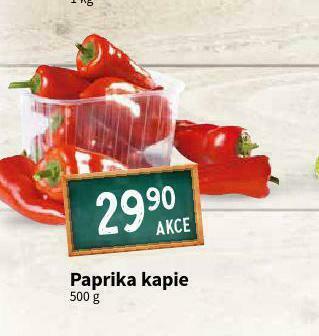 Terno Paprika kapie nabídka