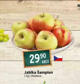 Terno Jablka šampion nabídka