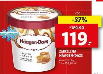 Lidl Zmrzlina häagen dazs nabídka