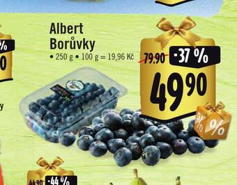 Jip Borůvky nabídka