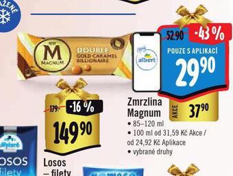 Jip Zmrzlina magnum nabídka
