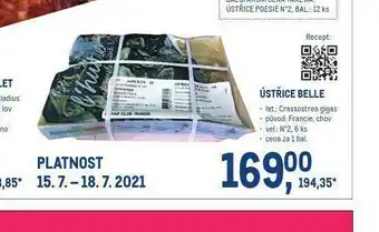 Makro Ústřice belle nabídka