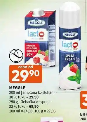 Terno Meggle smetana ke šlehání nabídka