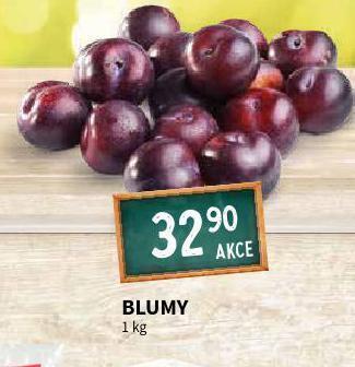 Terno Blumy nabídka