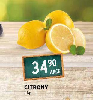 Terno Citrony nabídka