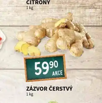 Zázvor čerstvý