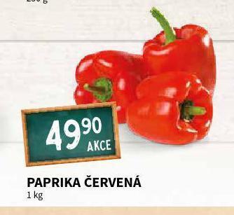 Terno Paprika červená nabídka