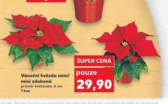 Kaufland Vánoční hvězda nabídka