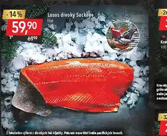 Globus Losos divoký sockeye nabídka
