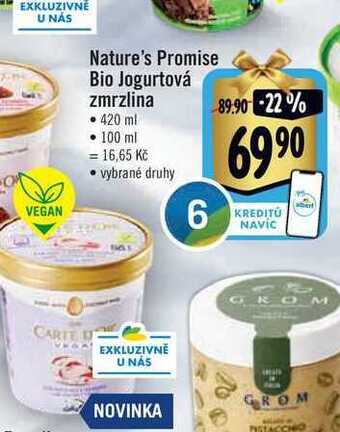 Albert Nature's promise bio jogurtová zmrzlina • 420 ml nabídka