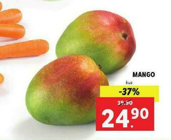 Lidl Mango nabídka