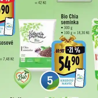 Bio chia semínka