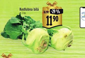 Albert Kedlubna bílá nabídka