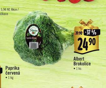 Albert Brokolice nabídka